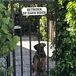 לינה וארוחת בוקר A Casa Nostra - Huiselijk En Gezellig Overnachten - Exclusief Ontbijt