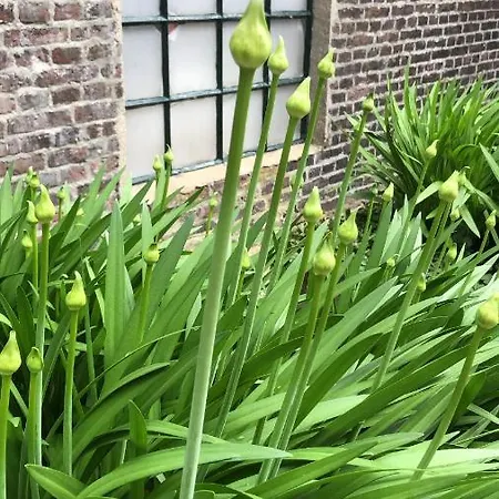 A Casa Nostra - Huiselijk En Gezellig Overnachten - Exclusief Ontbijt