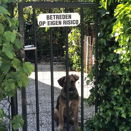 فندق مبيت وإفطار A Casa Nostra - Huiselijk En Gezellig Overnachten - Exclusief Ontbijt