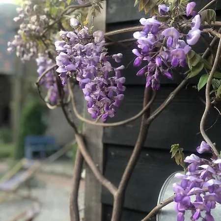 ベッド・アンド・ブレックファスト A Casa Nostra - Huiselijk En Gezellig Overnachten - Exclusief Ontbijt 3*