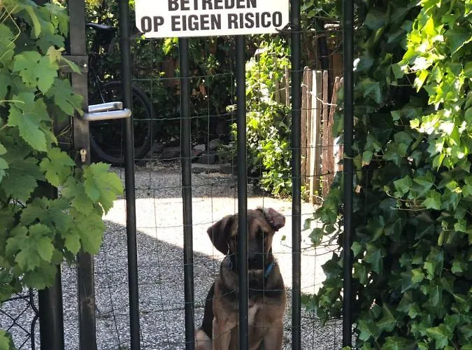 Frühstückspension A Casa Nostra - Huiselijk En Gezellig Overnachten - Exclusief Ontbijt