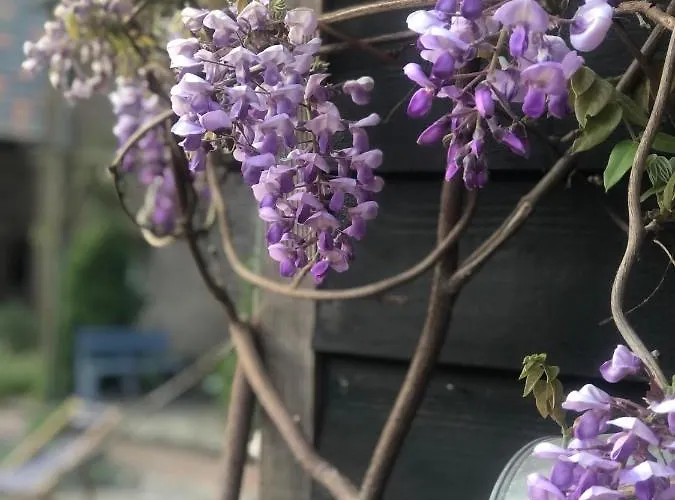 فندق مبيت وإفطار A Casa Nostra - Huiselijk En Gezellig Overnachten - Exclusief Ontbijt 3*