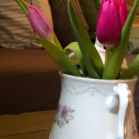 A Casa Nostra - Huiselijk En Gezellig Overnachten - Exclusief Ontbijt 3* Well (Limburg)