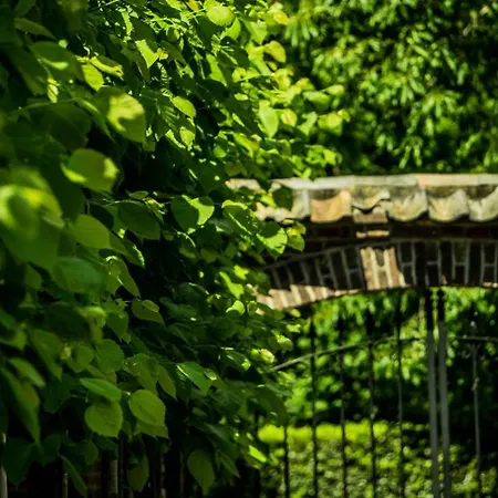 A Casa Nostra - Huiselijk En Gezellig Overnachten - Exclusief Ontbijt 3* Well (Limburg)