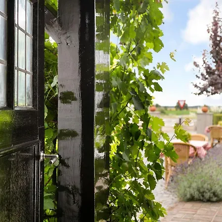 Nocleg ze śniadaniem A Casa Nostra - Huiselijk En Gezellig Overnachten - Exclusief Ontbijt